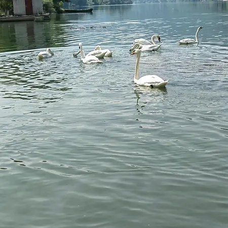 Kuca-zvornicko Jezero