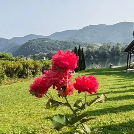 Dom wakacyjny Kuca-zvornicko Jezero Mali Zvornik