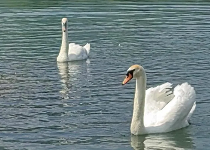 Kuca-zvornicko Jezero 펜션 *