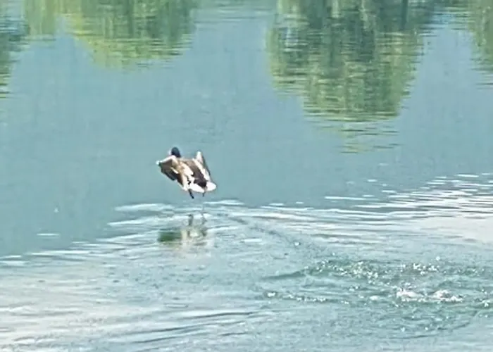 Kuca-zvornicko Jezero 펜션 Mali Zvornik