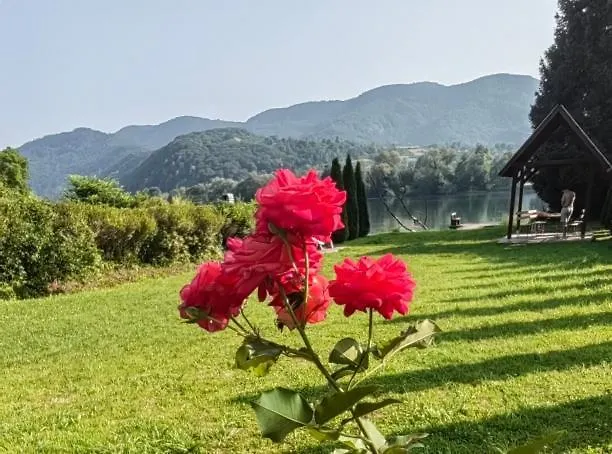 펜션 Kuca-zvornicko Jezero Mali Zvornik