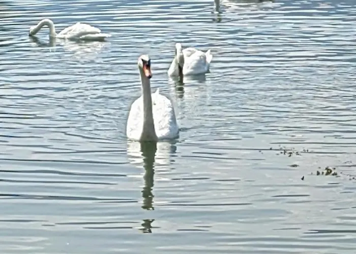 Kuca-zvornicko Jezero *